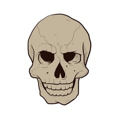 halloween skull head