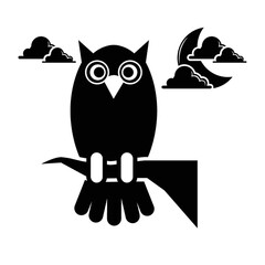 owl