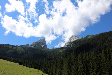 Der Watzmann im Nationalpark Berchtesgadener Land. Bayern. Deutschland