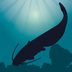 catfish silhouette