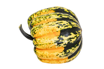 Pumpkin isolated. Close-up of a green orange Carnival or Festival pumpkin isolated on a white...