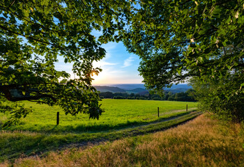 Sauerland Panorama Iserlohn Lössel Wanderweg Hügel Land der tausend Berge Eiche Wiese Weide Aussicht Horizont Abendlicht Sonnenuntergang Atmosphäre Sommer Idyll romantik Natur Kulisse Outdoor Biking 
