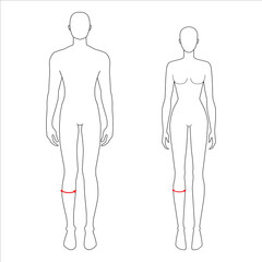 Women and men to do calf measurement fashion Illustration for size chart. 7.5 head size girl and boy for site or online shop. Human body infographic template for clothes. 