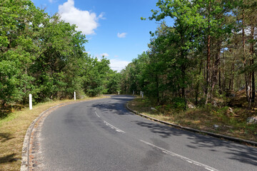 Fototapeta na wymiar D64 country road turn in Fontainebleau forest