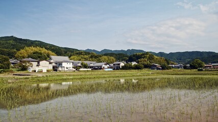 Fototapeta na wymiar A rice field filled with water for agriculture in early summer in Nara, Japan, June 2, 2020.