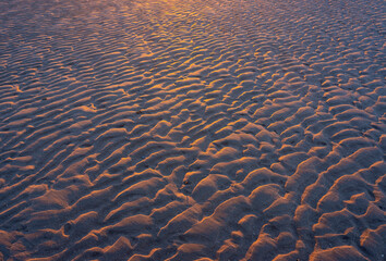 Fototapeta na wymiar sand ripples on beach in warm light of setting sun