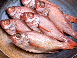 のどぐろの干物
