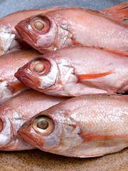 のどぐろの干物
