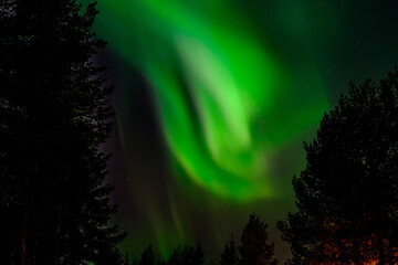 Aurore bor&eacute;ale