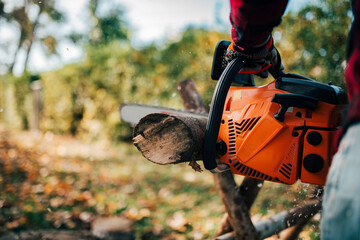 Cutting tree trunk with chainsaw, copy space.