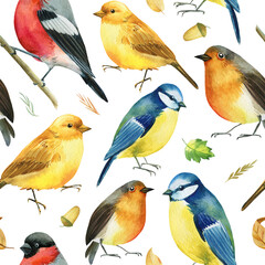 Seamless pattern. Bullfinches, titmice, canaries, robin birds. Autumn leaves and herbs watercolor, isolated background
