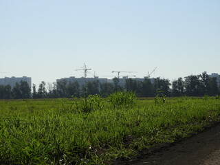 Fototapeta na wymiar irrigation system in the field