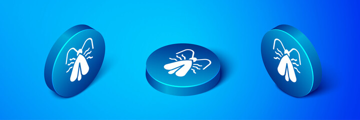 Isometric Clothes moth icon isolated on blue background. Blue circle button. Vector.