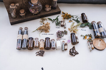 Witch's set of herbs