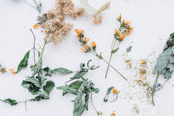 Witch's set of herbs