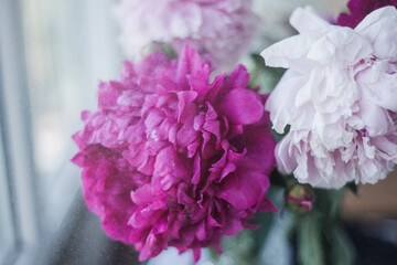 summer flowers in a vase