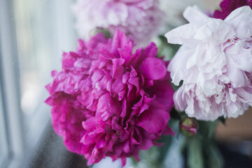 summer flowers in a vase