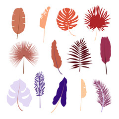 Set of colorful tropical leaves. Vector illustration.