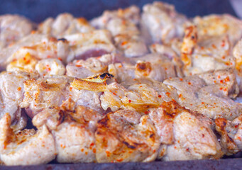 beautiful meat KEBAB in NATURE