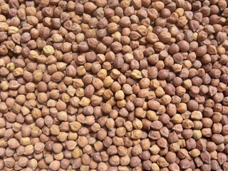 Brown color raw whole dried Chickpeas