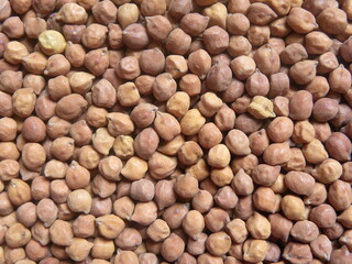 Brown color raw whole dried Chickpeas