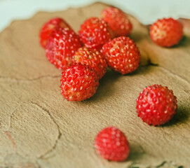 Wild strawberry berries on tree bark