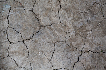Dry cracked earth ground texture. No watering desert