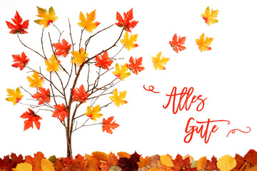 Branches Building Tree With Bright Colorful Leaf Decoration. Red And Yellow Leaves Flying Away Due To Wind. German Text Alles Gute Means Best Wishes. White Background