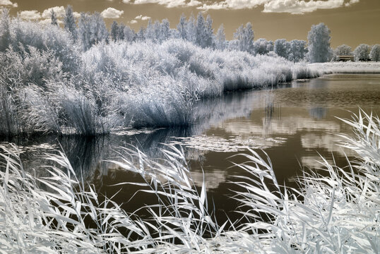 summer landscape, infrared photo snowy tree amazing nature lake reflection, unusual surreal view, infrared photography