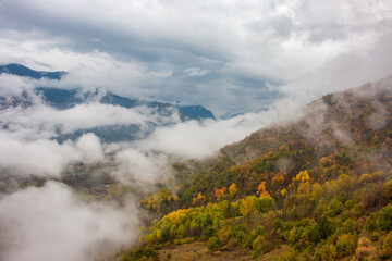 Misty forest covered in fog with autumn colors . Foggy colorful fall mountains. Peaceful moody scenery.