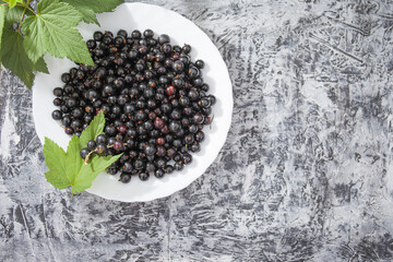 shiny, delicious and fresh black currant in a white Cup on a concrete, cement gray background