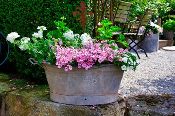 flowers in pots