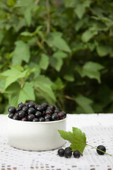 Fototapeta na wymiar shiny, delicious and fresh black currant in a white Cup on a Lacy rustic tablecloth on a wooden background