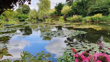 pond with flowers