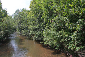 Fototapeta na wymiar Grünes Flussufer