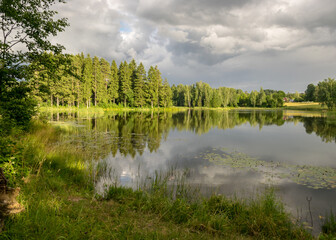 Fototapeta na wymiar summer landscape by the lake, trees and cumulus clouds reflect in the lake water, shore overgrown with reeds, summer nature