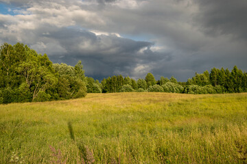 landscape with clouds, forest in the background and meadows in the foreground