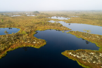Soomaa National Park. Aerial view of bog lakes in Kuresoo bog during foggy sunrise in summer in Estonian nature, Northern Europe. 