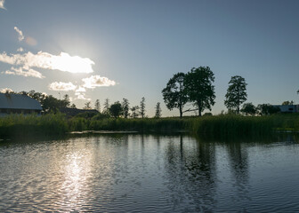 summer backlight landscape, dark tree silhouettes in the background, reflections in the water, summer time