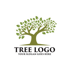 Tree logo vector illustration. Vector silhouette of a tree.