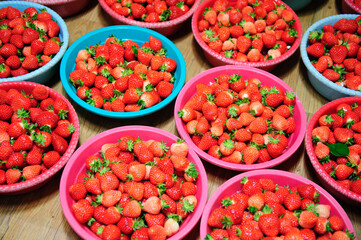 strawberries in baskets