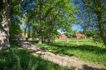Fu&szlig;g&auml;ngerbr&uuml;cke Klein B&uuml;storf L&uuml;neburger Heide Sommer