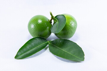 Thai lemons are green lemons and green leaves, sour green lemons, separate on a white background and copy area and text area.