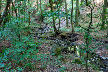 Small creek in the Pilis mountains