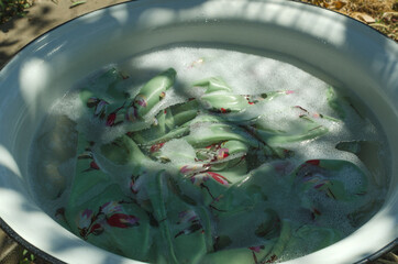 White enamel wash bowl and female shirt in it, foam detergent.Natural sun light and leaves shadows