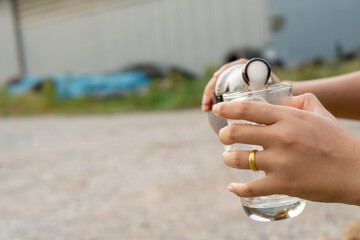 Carefully pour the beer into the glass.
