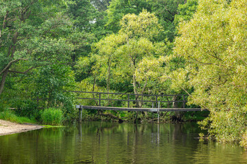 Fototapeta na wymiar An old wooden bridge with a lot of green trees and grass near a lake or river