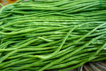 Organic green Yardlong beans in close-up shot.