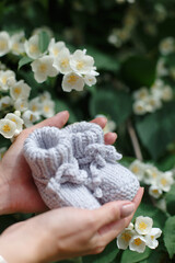 Small handmade booties in female hands on the background of a blossoming tree