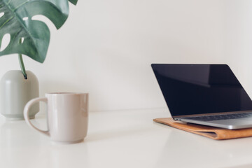 White minimal laptop workspace with plant decoration and coffee.
